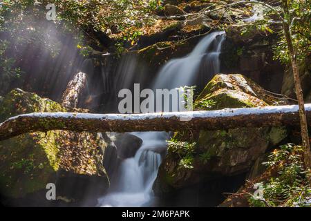 Cascade sur Roaring Fork dans le parc national des Great Smoky Mountains, Tennessee Banque D'Images