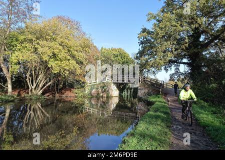 Marcheur de chiens et cycliste femelle sur le chemin de remorquage par le pont Dodd sur le canal de navigation de la rivière Wey Byfleet, le jour ensoleillé de l'hiver Surrey Angleterre Royaume-Uni Banque D'Images