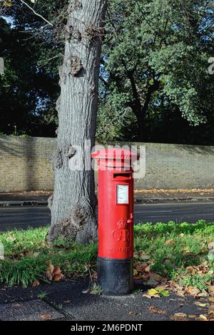 Une boîte pilier Red Post Office près de la route Kew Londres Angleterre Royaume-Uni Banque D'Images