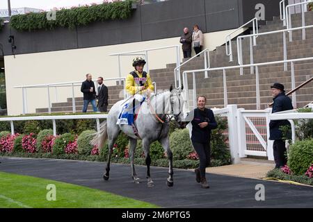 Ascot, Berkshire, Royaume-Uni. 30th septembre 2022. Le cheval-boule jumpé par le jockey Hollie Doyle est arrivé deuxième dans les enjeux de handicap LondonMetric à l'hippodrome d'Ascot. Crédit : Maureen McLean/Alay Banque D'Images