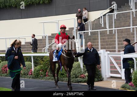 Ascot, Berkshire, Royaume-Uni. 30th septembre 2022. Cheval temporiser monté par le jockey Andrea Atzeni est venu 4th dans les piquets de handicap LondonMetric à l'hippodrome d'Ascot. Crédit : Maureen McLean/Alay Banque D'Images