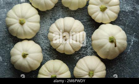 Petites citrouilles blanches pour bébés, mini, placées en cercle sur une table en pierre sombre. Banque D'Images