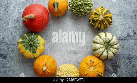 De la vue ci-dessus de divers types de mini citrouilles mignons placées dans le cercle avec l'espace de copie Banque D'Images