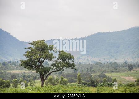 Maison de boue rurale typique (appelée Tukul) dans un village reculé en Afrique avec toit de chaume, conditions de vie très basiques et pauvres Banque D'Images