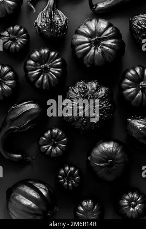 Différents types de petits citrouilles peintes en noir sur fond sombre Banque D'Images