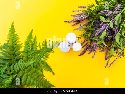 Récipients en plastique blanc, fougères vertes et fleurs de menthe fraîche pour produits cosmétiques ou tisanes. Plantes médicales. Banque D'Images