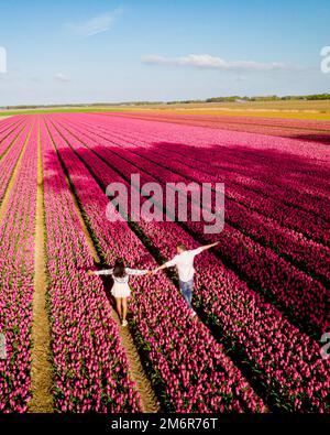 Hommes et femmes dans le champ de fleurs vu d'en haut avec drone aux pays-Bas, champs de tulipes Banque D'Images