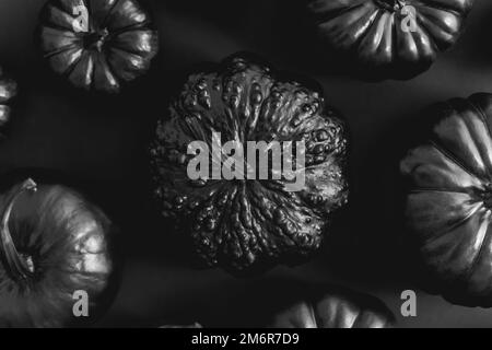 Différents types de petits citrouilles peintes en noir sur fond sombre Banque D'Images