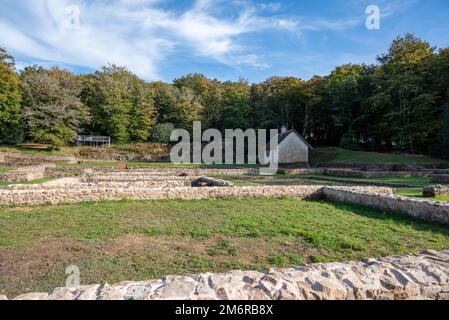 Centre archéologique de Bibracte. Ruines archéologiques gaulois sur le mont Beuvray. Site européen de fouilles anciennes. Peuple celtique des Aedui. Banque D'Images