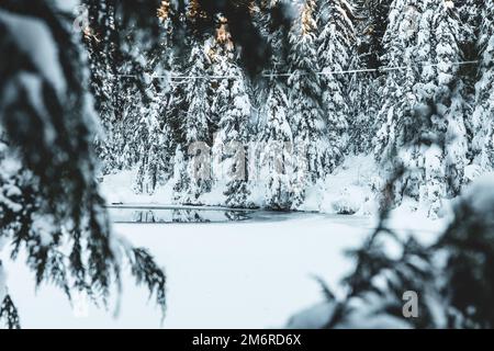 Lac Blue Grouse partiellement gelé lors d'une journée d'hiver ensoleillée au pic de Vancouver (mont Grouse) Banque D'Images