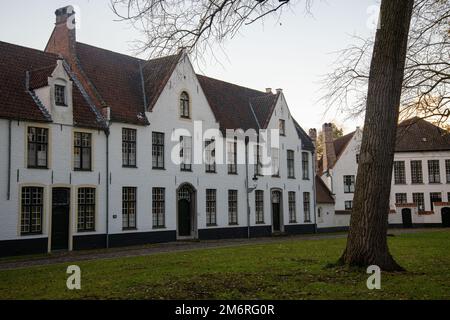 Beginhof est une belle cour avec un ancien poorhouse (hofje) dans le centre d'Amsterdam Banque D'Images