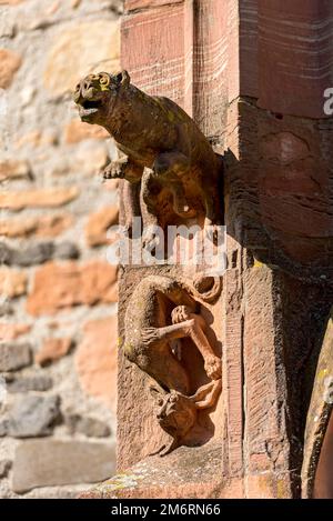 Créatures mythiques médiévales, gargouilles sur le portail du porche, rue Gothique Eglise de Marie, Vieille ville, Ortenberg, Wetterau, Vogelsberg, Hesse, Allemagne Banque D'Images