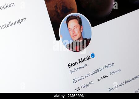 Elon Musk, Entrepreneur, site Web, Twitter, réseau social, Capture d'écran, détail Banque D'Images