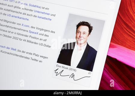 Elon Musk, Entrepreneur, site Web, réseau social, Screenshot, Détails Banque D'Images