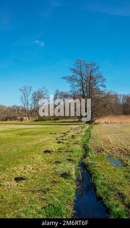 Paysage au Tegeler Fliess à Luebars, Reinickendorf, Berlin, Allemagne Banque D'Images