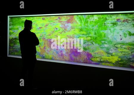 Monets Garden, Immersive, exposition interactive sur Claude Monet, Schleyerhalle, Stuttgart, Bade-Wurtemberg, Allemagne Banque D'Images