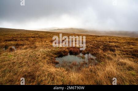 Un petit étang sur Dartmoor, avec le lointain East Mill Tor en arrière-plan. Banque D'Images