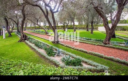 Vue imprenable sur le parc des oliviers dans les terrasses du Sanctuaire du Bab, les jardins de Bahai et les successeurs près du chemin du jardin Banque D'Images