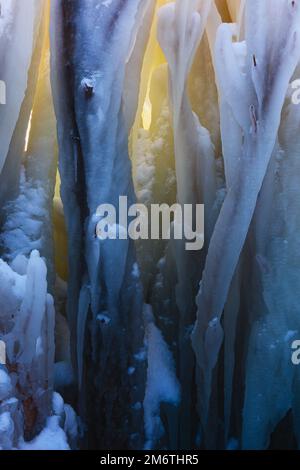 Glaces suspendues sur les arbres par temps froid. Vue verticale rapprochée. Mis en évidence par le soleil. Banque D'Images