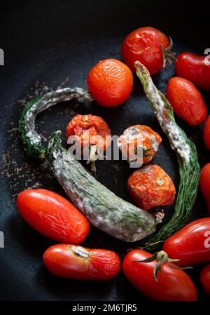 Tomates pourries et concombres moulées et froissées. Malsain, décomposer les légumes. Le dépotoir pourriture la nourriture sur fond noir Banque D'Images