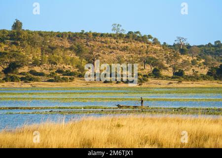 Pêcheur africain dans un canoë aviron sur la rivière Chobe. Botswana, Afrique Banque D'Images