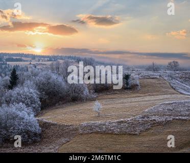 L'hiver approche.Scène pittoresque avant le lever du soleil au-dessus de la fin de l'automne campagne de montagne avec du givre sur les herbes, les arbres, les pentes.PE Banque D'Images