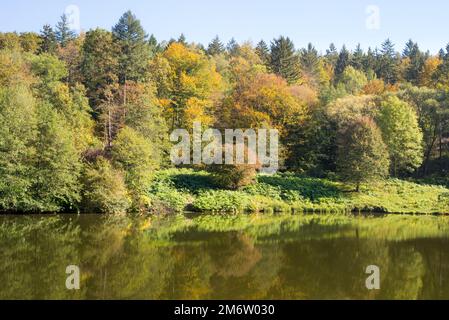 Petit lac entouré par une forêt avec des plantes colorées à l'automne Banque D'Images