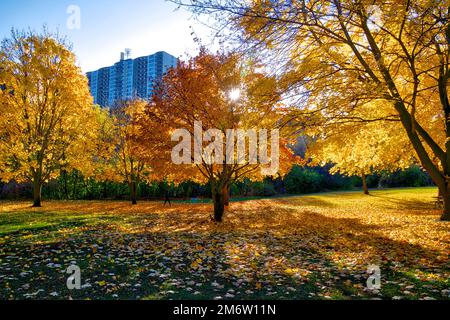 Style de vie - Appartement vivant avec la couleur feuille d'automne Banque D'Images