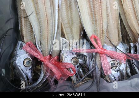 Poisson vidé à vendre sur le marché coréen du poisson Banque D'Images