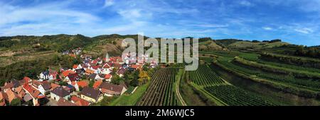 Vue aérienne de Schelingen am Kaiserstuhl donnant sur les vignobles. Schelingen, Vogtsburg am Kaisers Banque D'Images