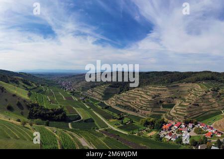 Vue aérienne de Schelingen am Kaiserstuhl donnant sur les vignobles. Schelingen, Vogtsburg am Kaisers Banque D'Images