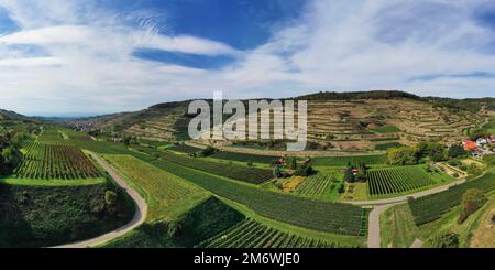 Vue aérienne de Schelingen am Kaiserstuhl donnant sur les vignobles. Schelingen, Vogtsburg am Kaisers Banque D'Images