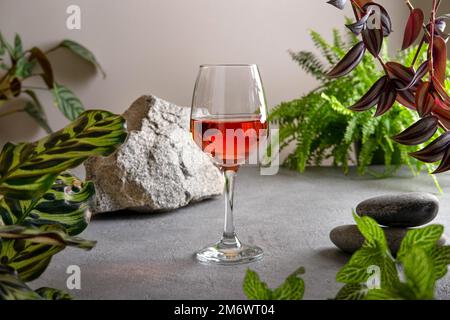 Cocktail tropical rhum Jungle Bird. Fond vert jungle avec feuilles de plantes. Banque D'Images