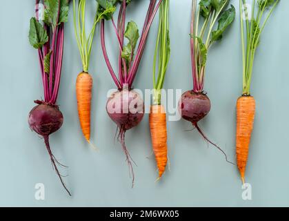 Récolte fraîchement botte. Légumes frais de ferme sur fond pastel. Aliments biologiques sains, carottes crues et betteraves Banque D'Images