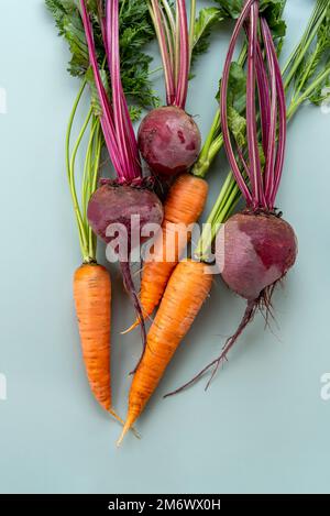 Récolte fraîchement botte. Légumes frais de ferme sur fond pastel. Aliments biologiques sains, carottes crues et betteraves Banque D'Images