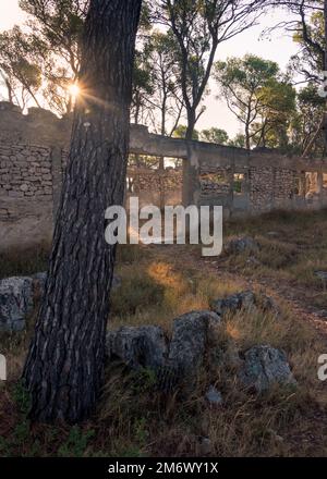 Soutes militaires abandonnés, tranchées et fossés. Deuxième Guerre mondiale La guerre des tranchées. Vieux bunker en béton en Croatie, près de Šibenik. Banque D'Images