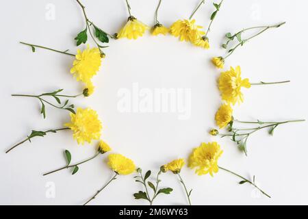 Fleurs jaunes cadre rond sur fond blanc, couronne fleurie chrysanthème, espace de copie Banque D'Images