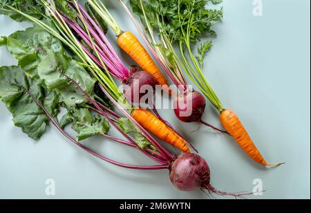 Récolte fraîchement botte. Légumes frais de ferme sur fond pastel. Aliments biologiques sains, carottes crues et betteraves Banque D'Images