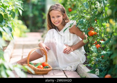 Adorable fille récolte des légumes en serre. Portrait d'un enfant avec panier rempli de légumes Banque D'Images