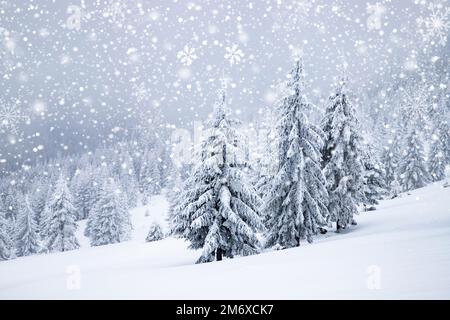 Paysage hivernal gelé magique avec sapins enneigés Banque D'Images