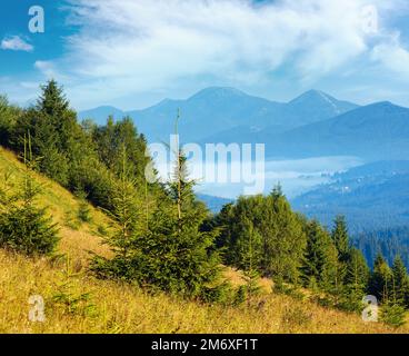Sur la montagne d'été, des Carpates (Kryvopillja, Verkhovyna district, région d'Ivano-Frankivsk, Ukraine). Banque D'Images
