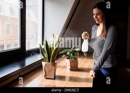 Jeune brunette femelle arrosoir des plantes et des fleurs par la fenêtre. Passe-temps botanique. Jardinier de maison s'occupant des plantes en pot. Banque D'Images