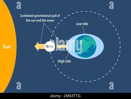 Comment les marées sont causées par la force gravitationnelle de la lune et du soleil Banque D'Images
