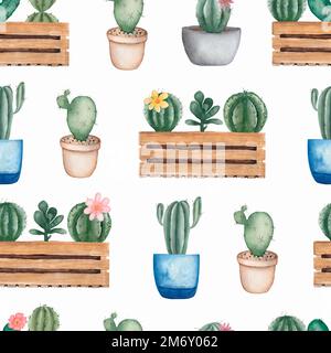 Aquarelle sans couture Cacti flower pattern.fond dessiné à la main avec cactus et succulents. Plantes de maison vertes dans les pots et boîte en bois. Banque D'Images