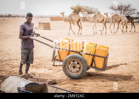 Un villageois transporte de l'eau lors d'une réunion entre le Groupe expéditionnaire aérien (AEG) de 409th et les forces armées nigériennes (langue française : armées nigériennes - FAN), les équipes des affaires civiles et le chef de village et chef adjoint à Alwat, Niger, 9 mai 2022. Ces réunions, facilitées par l'équipe des affaires civiles de l'AEG en 409th, renforcent le partenariat du FAN avec les villages locaux, ce qui permet d'établir de solides relations et de renforcer la continuité de l'engagement entre le gouvernement du Niger et ses citoyens. Banque D'Images