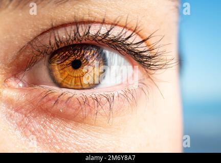 photographie macro d'un œil féminin. Texture de l'œil humain. pupille oculaire. Cils humains. Gros plan des yeux bruns. Arrière-plan de l'œil. Banque D'Images