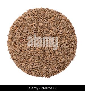 Graines de caraway, cercle, gros plan isolé du dessus. Disque fait de fruits secs entiers de fenouil méridien, connu sous le nom de cumin perse, Carum carvi, une épice. Banque D'Images