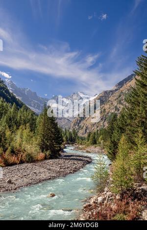 Belle vue sur la rivière de montagne dans le parc national de Gran Paradiso entre les pistes alpines couvertes de forêt. Vallée d'Aoste, Italie (photo verticale) Banque D'Images