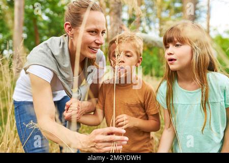 Fils et fille soufflant à l'usine séchée étant détenus par une mère heureuse tout en explorant en vacances Banque D'Images