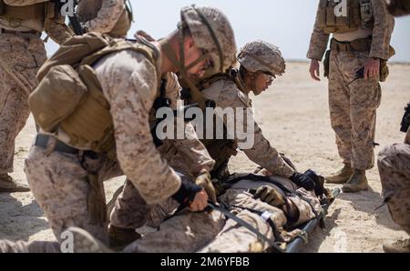 Ras AL QARAIN, Bahreïn (10 mai 2022) – États-Unis Les Marines affectés au commandement central de l'équipe de sécurité anti-terrorisme de la flotte (FASTCENT) participent à une formation d'évacuation médicale au sol lors de l'exercice Neon Defender 22 à Bahreïn, en 10 mai. Neon Defender est un événement annuel de formation bilatérale entre les États-Unis Commandement central des forces navales et Bahreïn. L'exercice se concentre sur les opérations de sécurité maritime, la défense de l'installation et l'intervention médicale. Banque D'Images